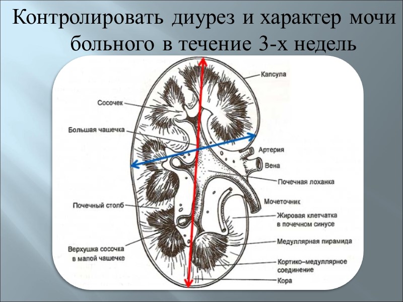 Изолировать больного до клинического выздоровления + отрицательного результата бакобследования на BL